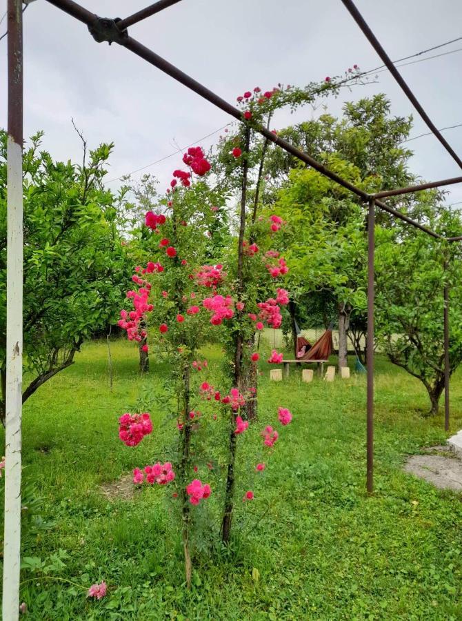 Отель Nini'S Sweet House Matkhoji Экстерьер фото